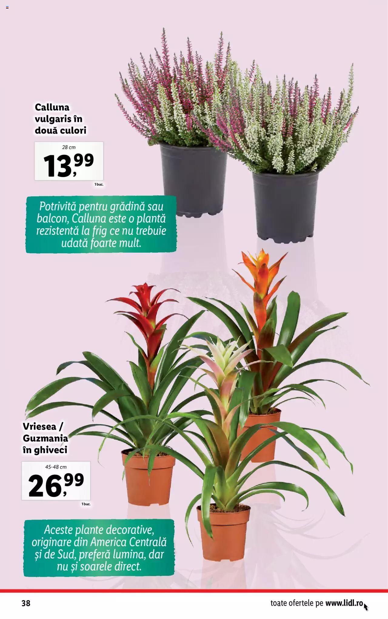 Catalog LIDL 23 - 29 Octombrie 2023 | Pagina 38