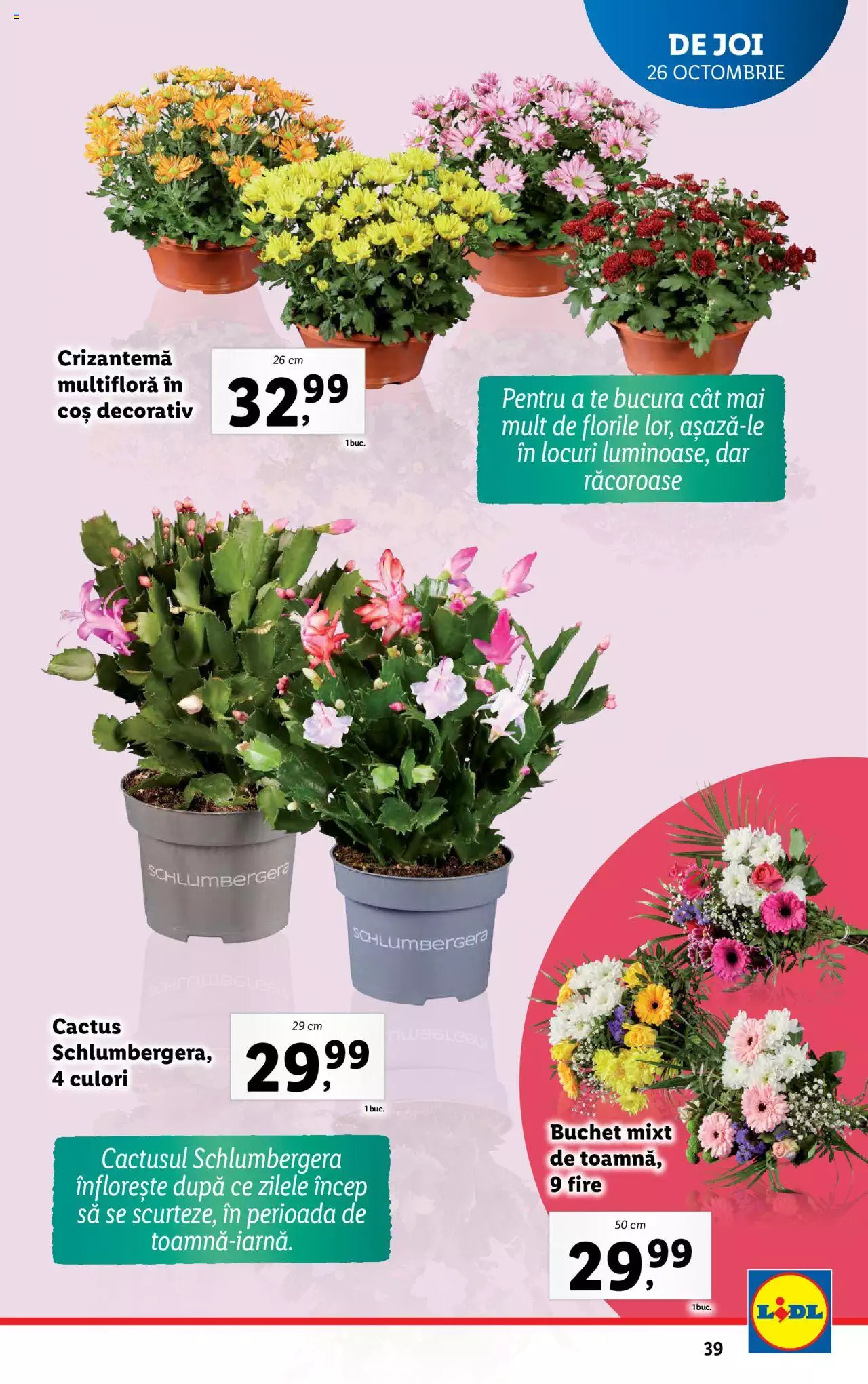 Catalog LIDL 23 - 29 Octombrie 2023 | Pagina 39