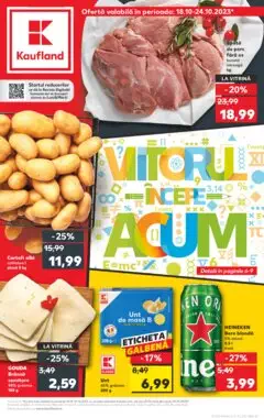 Catalog Kaufland