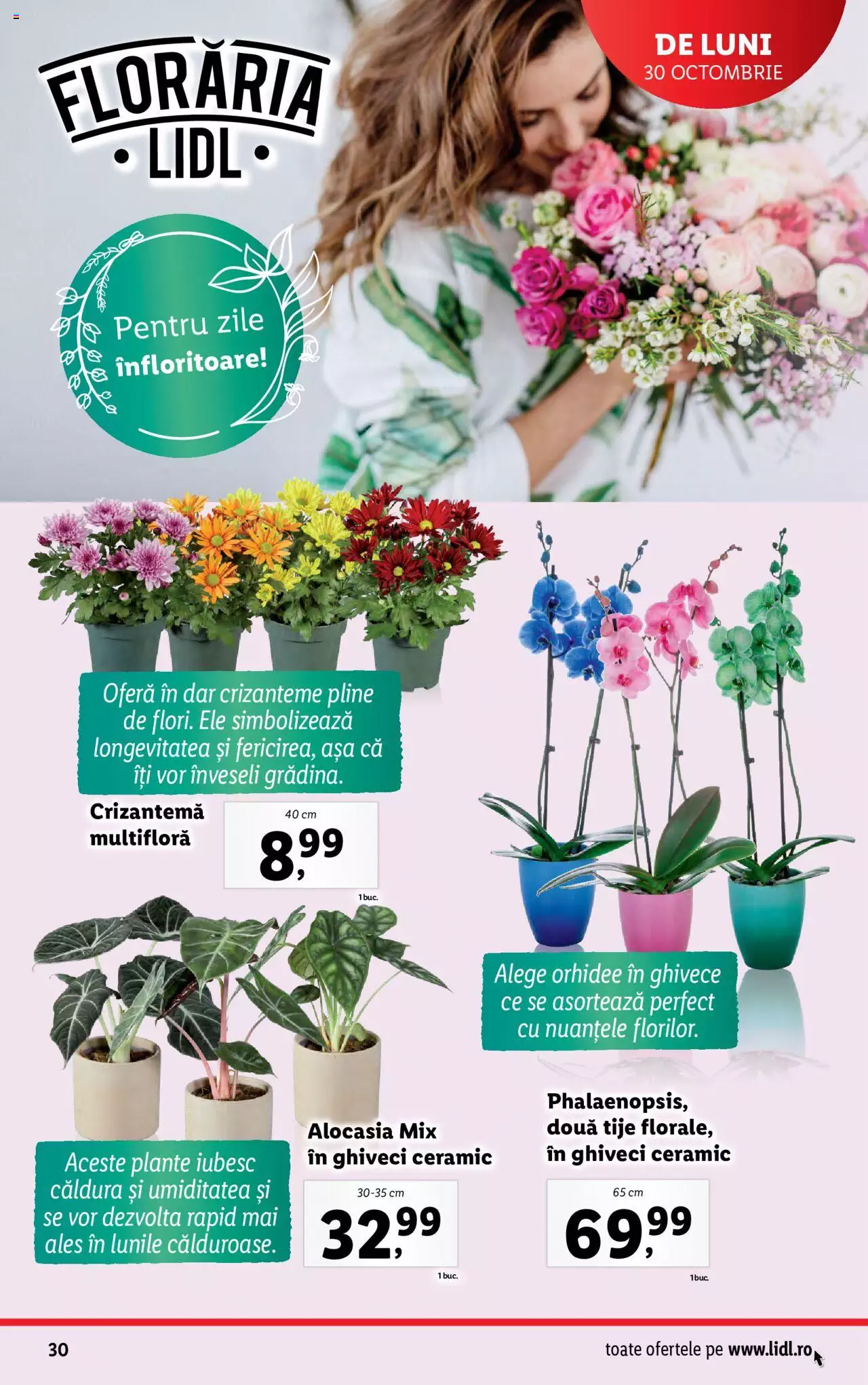 Catalog LIDL 30 Octombrie - 5 Noiembrie 2023 | Pagina 30