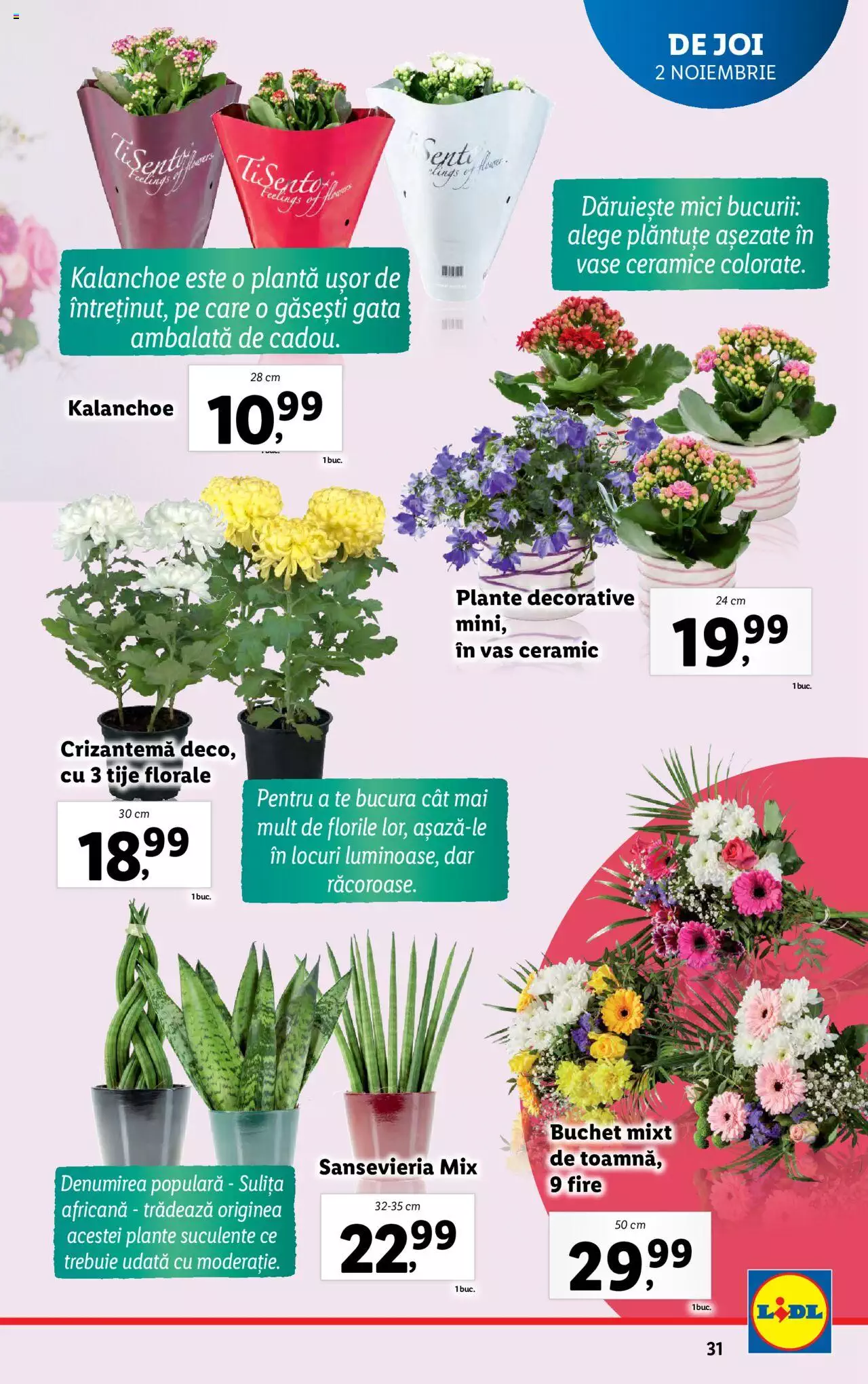 Catalog LIDL 30 Octombrie - 5 Noiembrie 2023 | Pagina 31