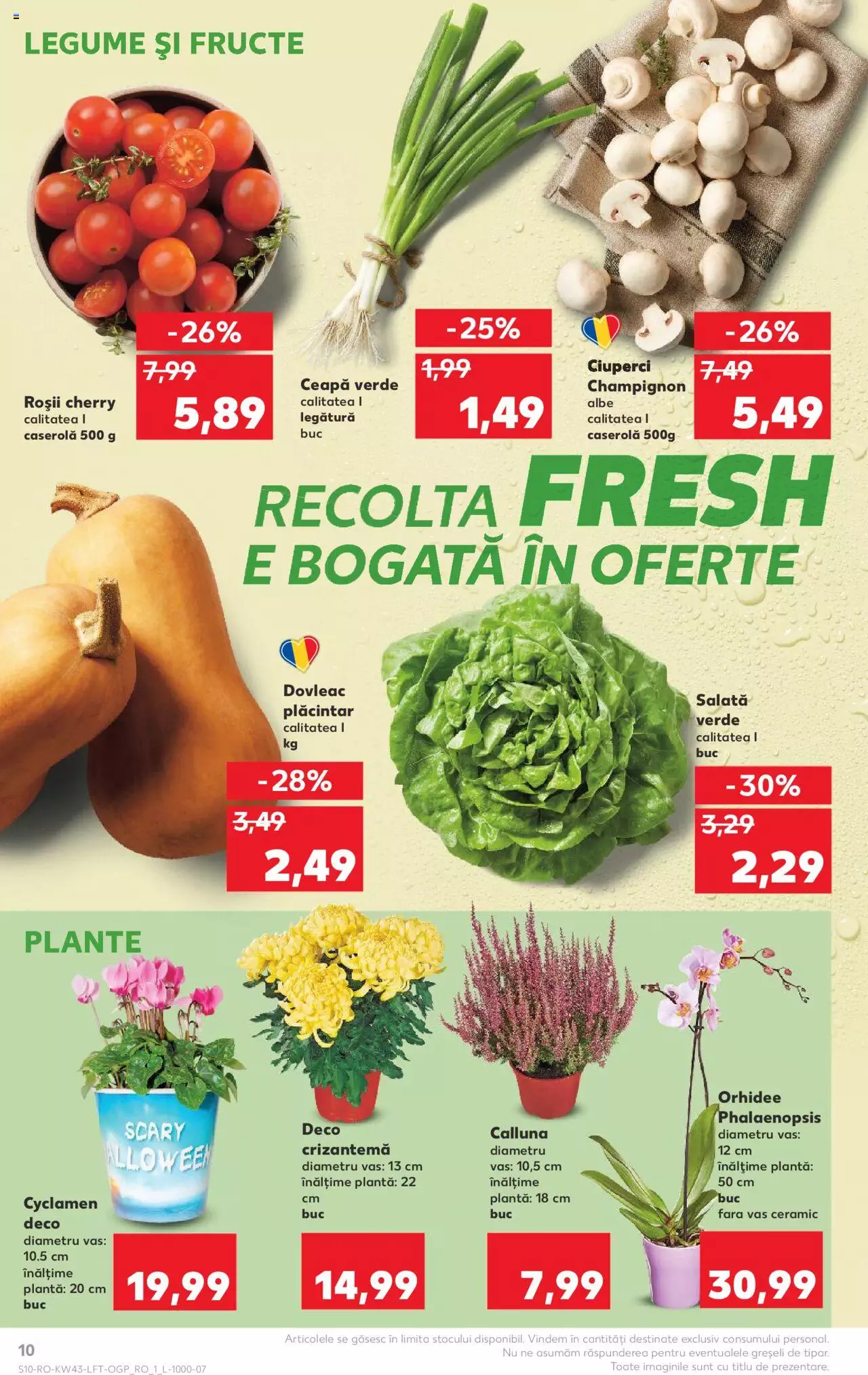 Catalog Kaufland 25 - 31 Octombrie 2023 | Pagina 10