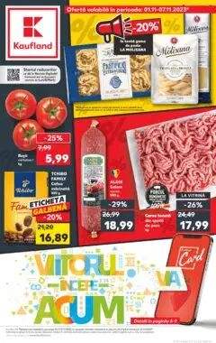 Catalog Kaufland