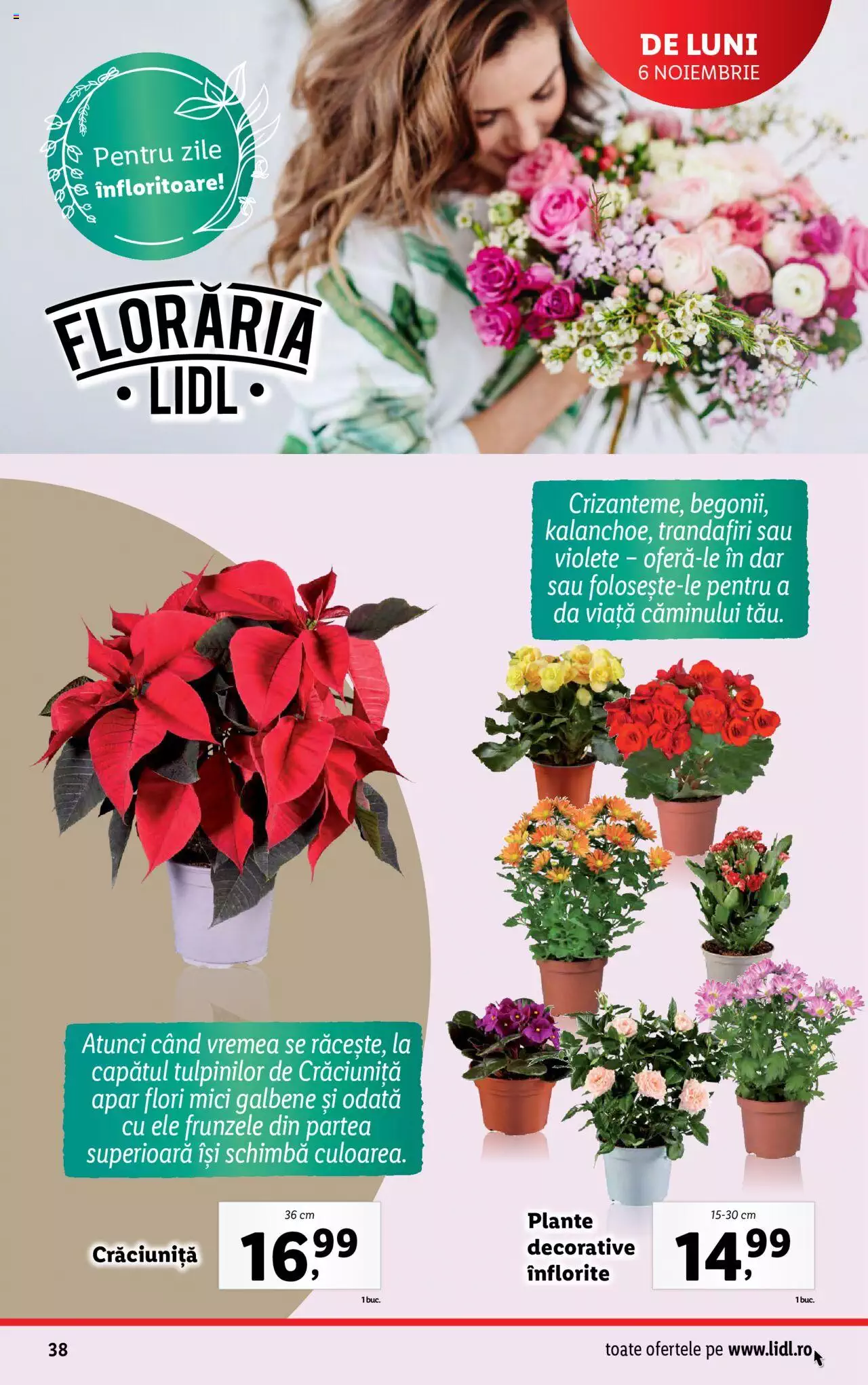 Catalog LIDL 6 - 12 Noiembrie 2023 | Pagina 38