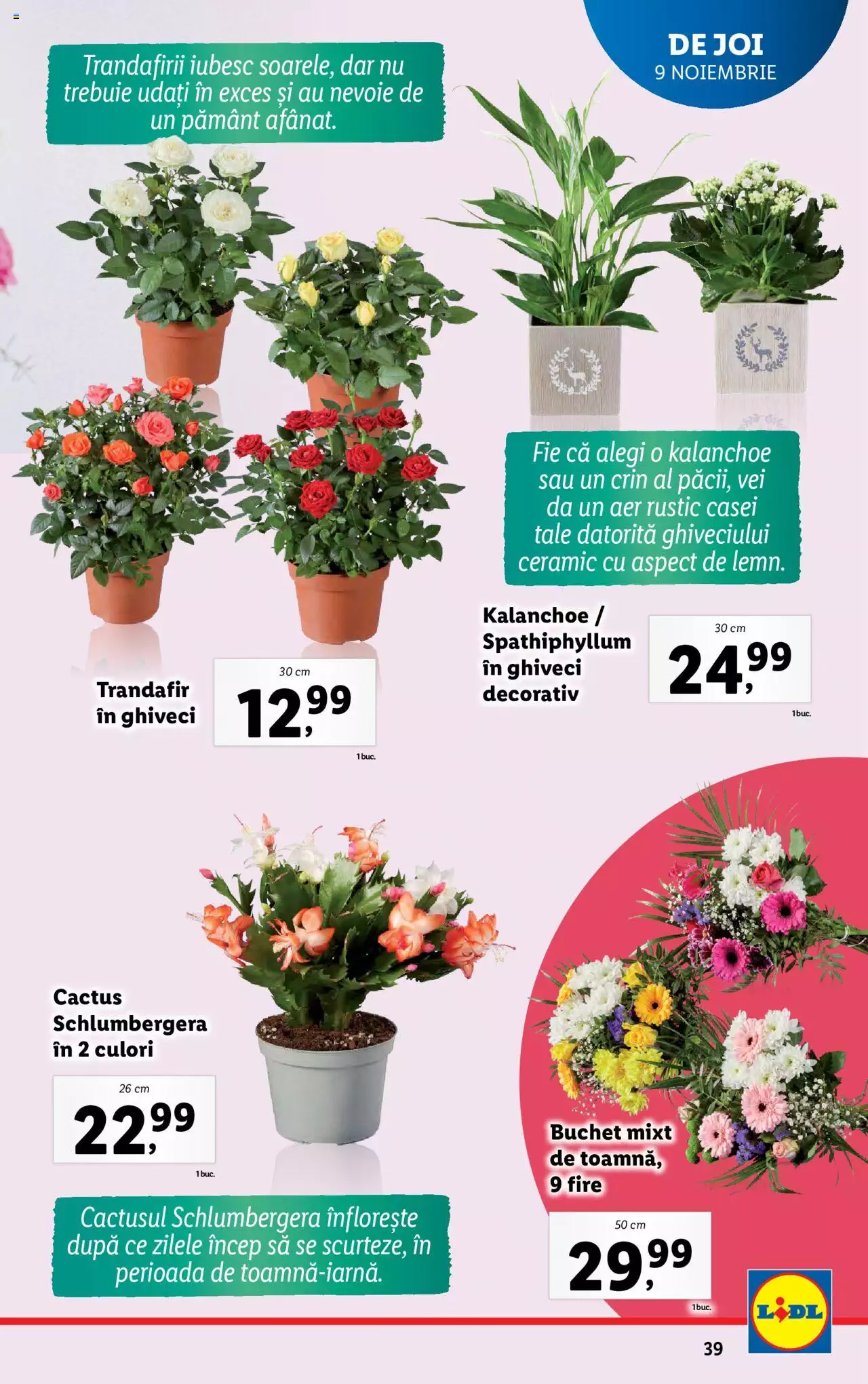 Catalog LIDL 6 - 12 Noiembrie 2023 | Pagina 39