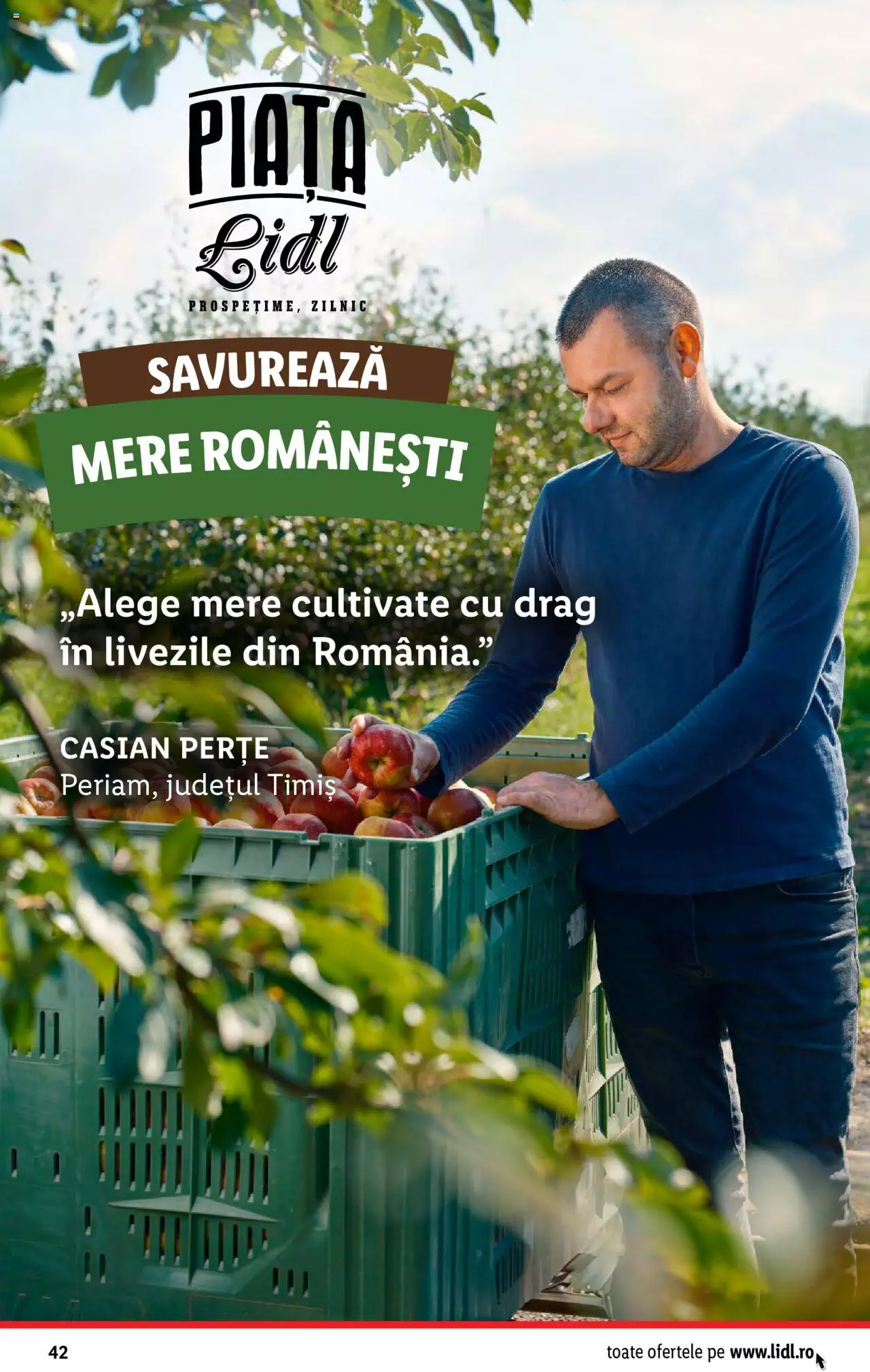 Catalog LIDL 6 - 12 Noiembrie 2023 | Pagina 42