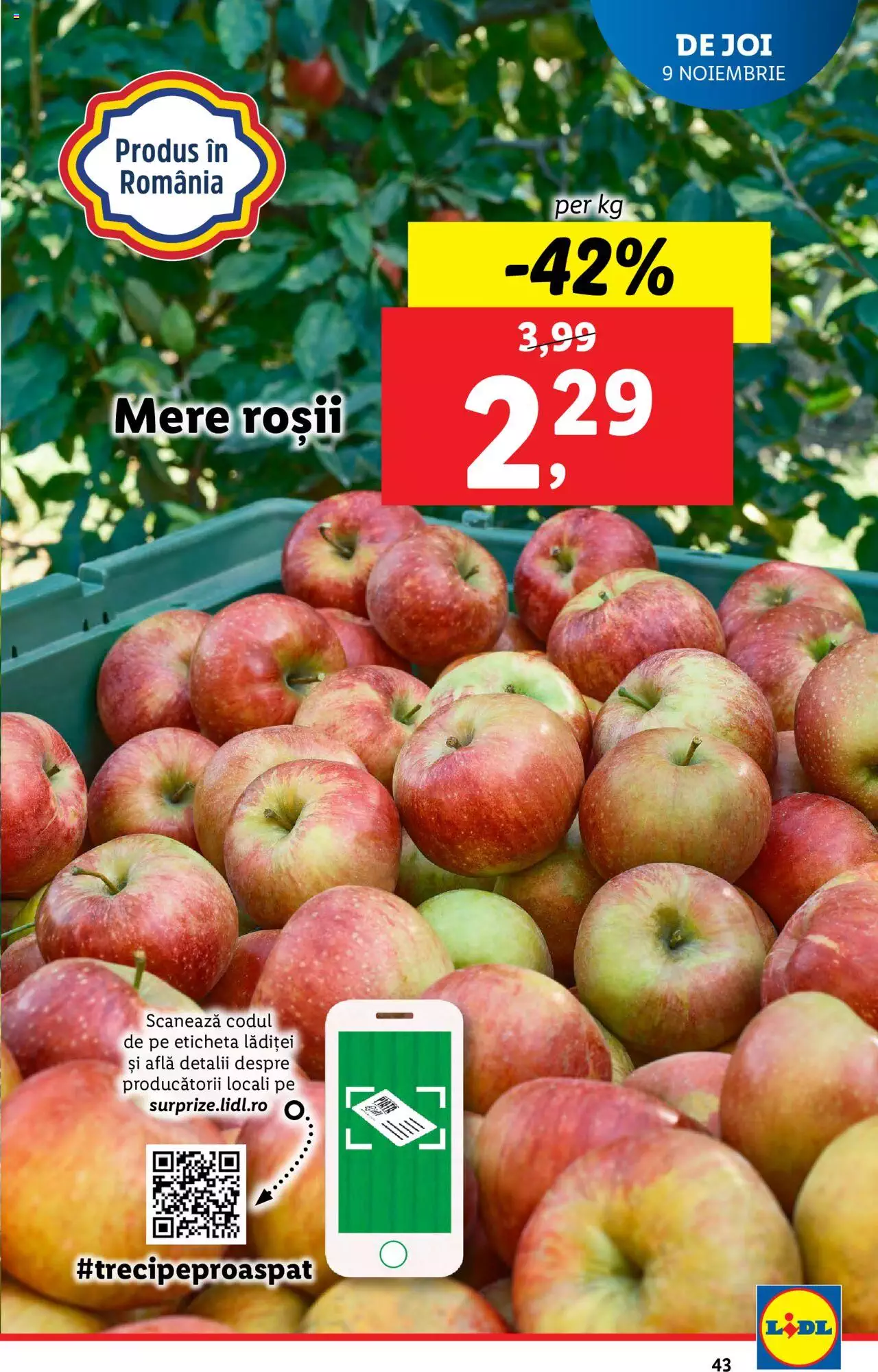 Catalog LIDL 6 - 12 Noiembrie 2023 | Pagina 43