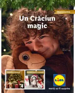 Catalog LIDL