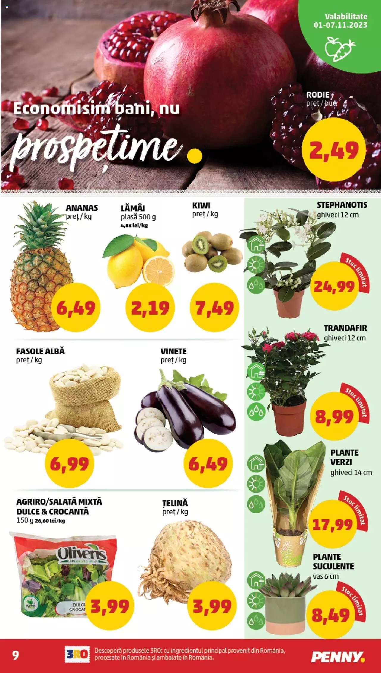 Catalog PENNY Market 1 - 7 Noiembrie 2023 | Pagina 9