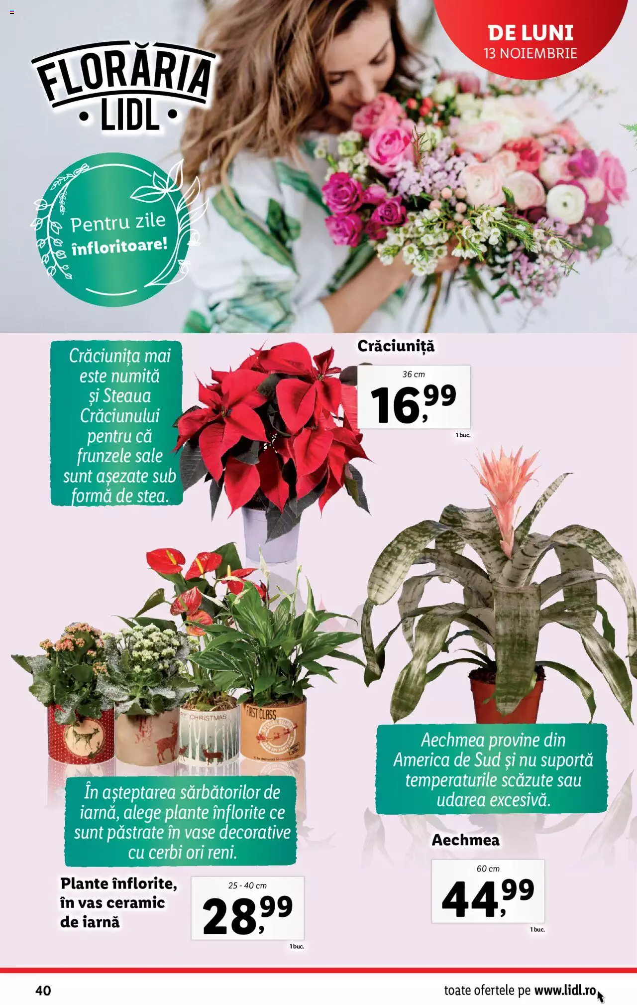 Catalog LIDL 13 - 19 Noiembrie 2023 | Pagina 40