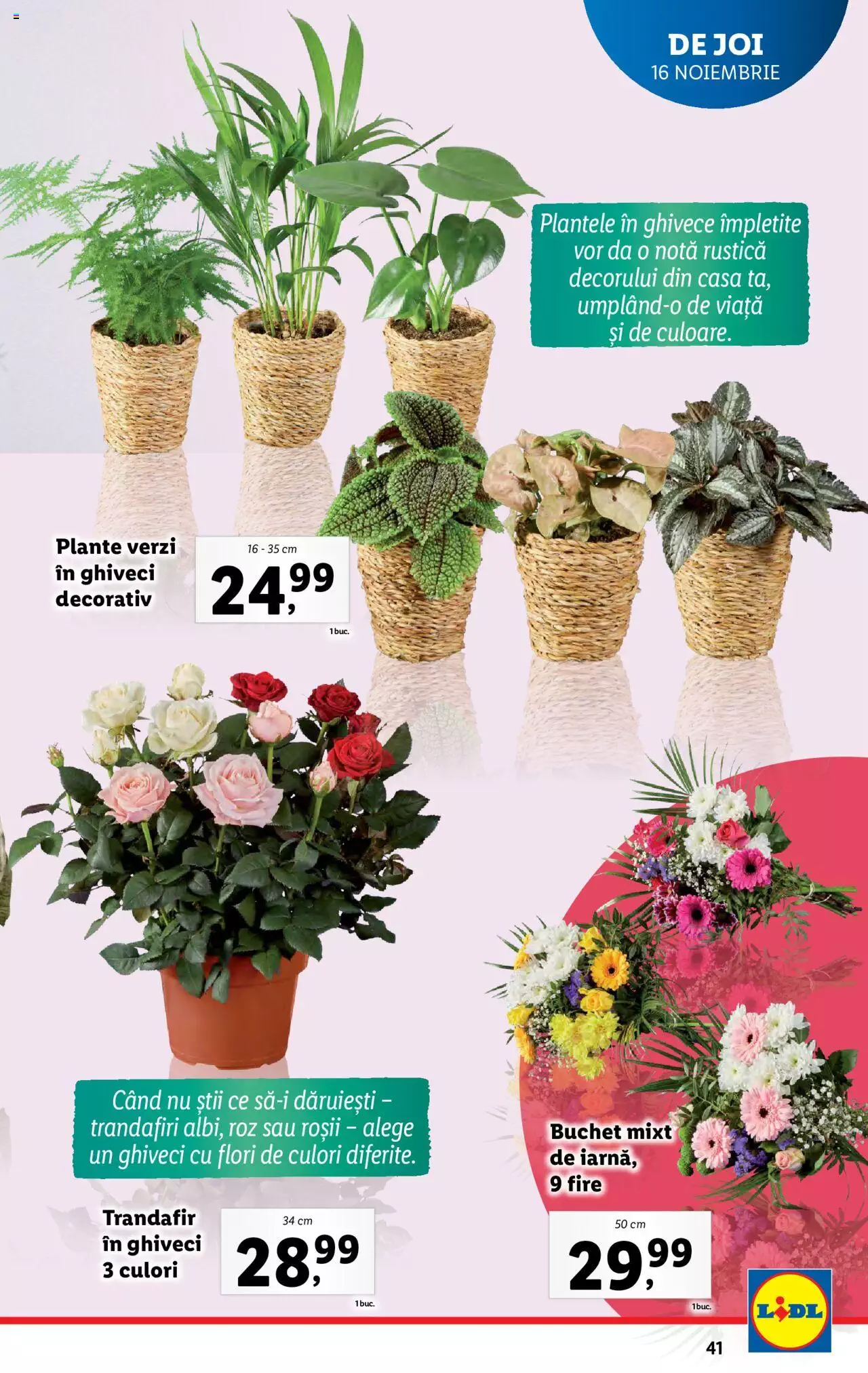 Catalog LIDL 13 - 19 Noiembrie 2023 | Pagina 41