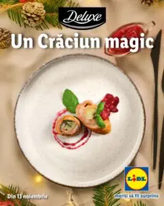 Catalog LIDL