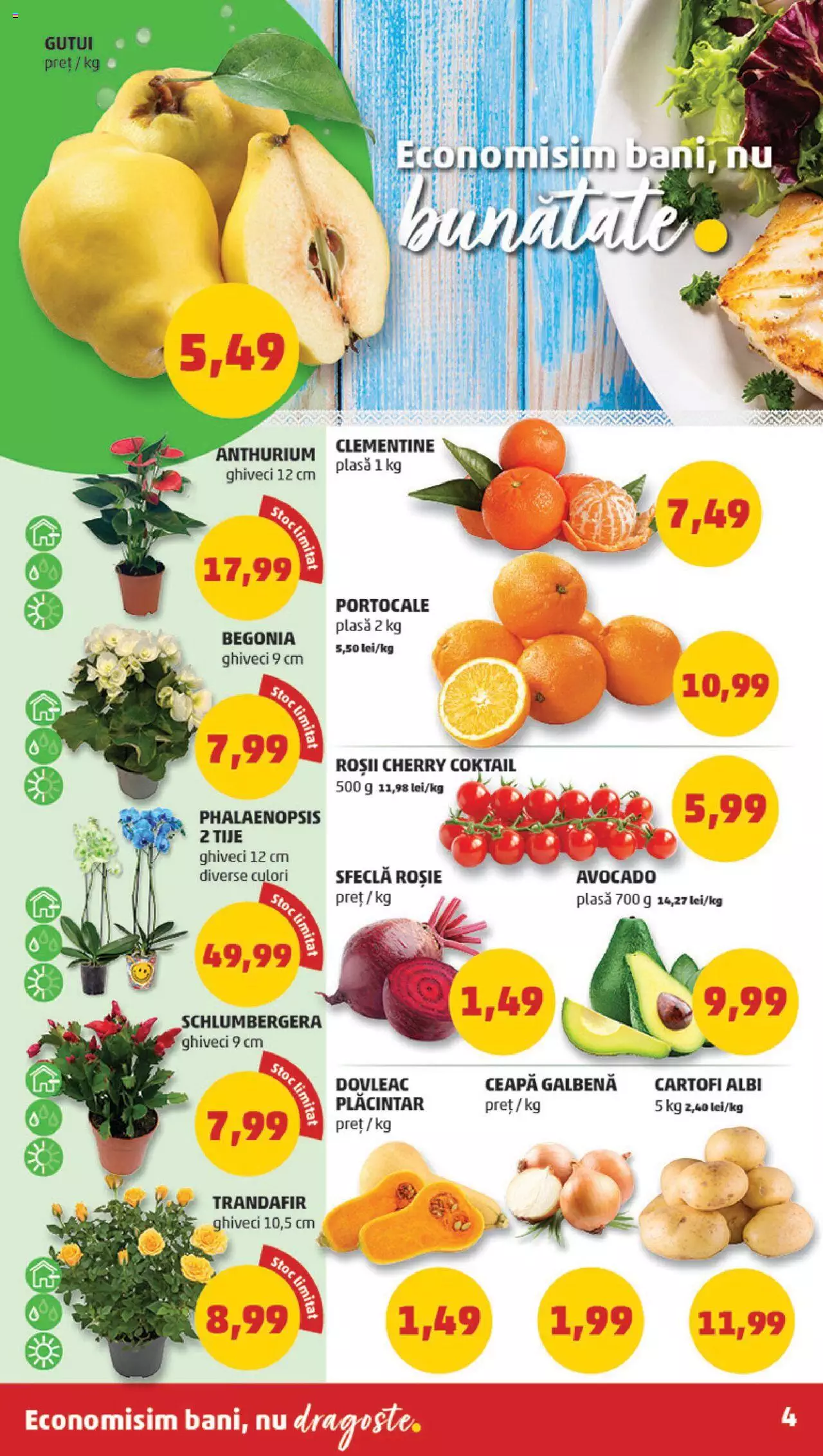 Catalog PENNY Market 8 - 14 Noiembrie 2023 | Pagina 4