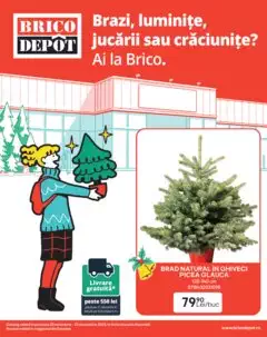 Catalog Brico Depot