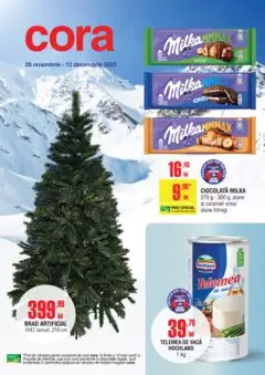Catalog Cora