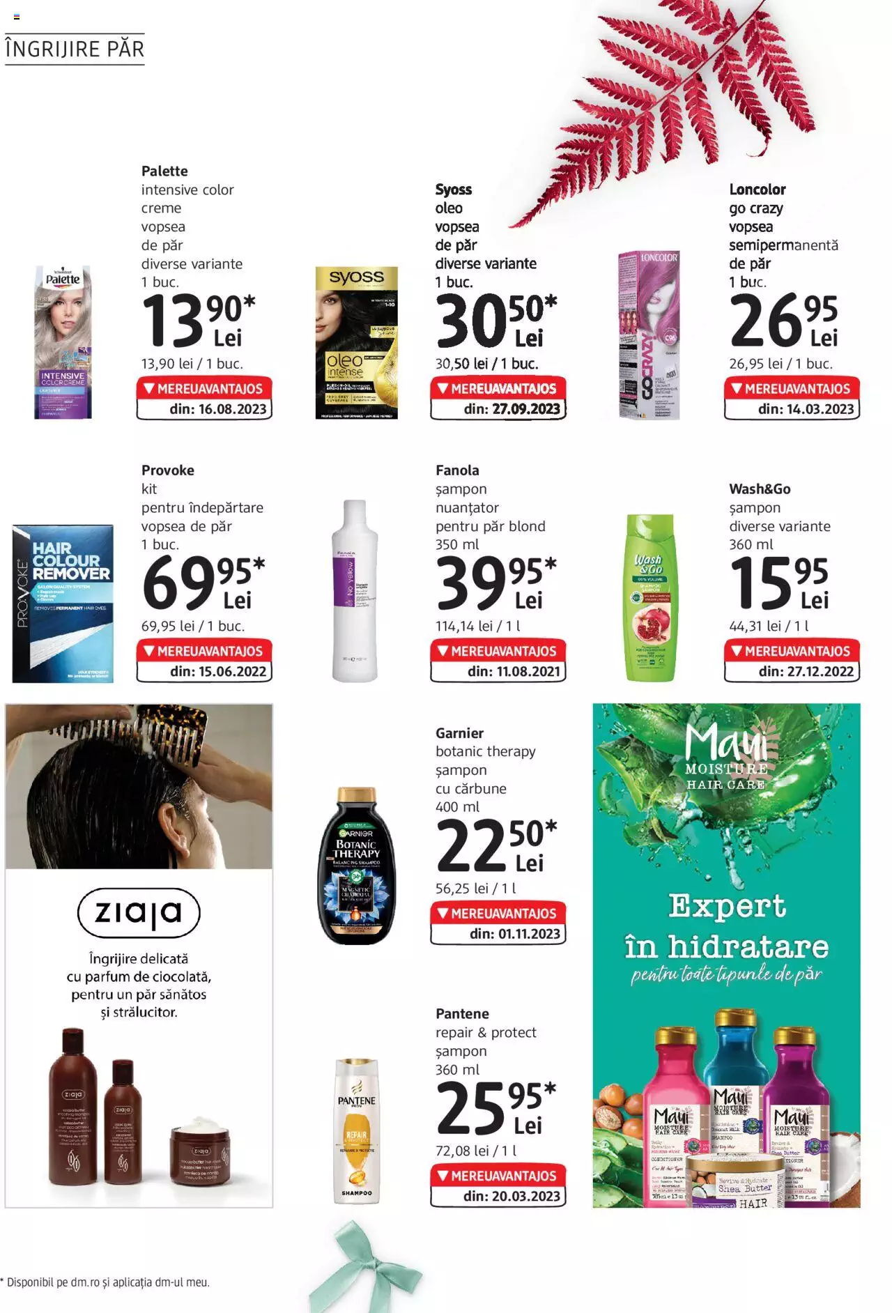 Catalog DM Drogerie Markt 16 Noiembrie - 12 Decembrie 2023 | Pagina 24