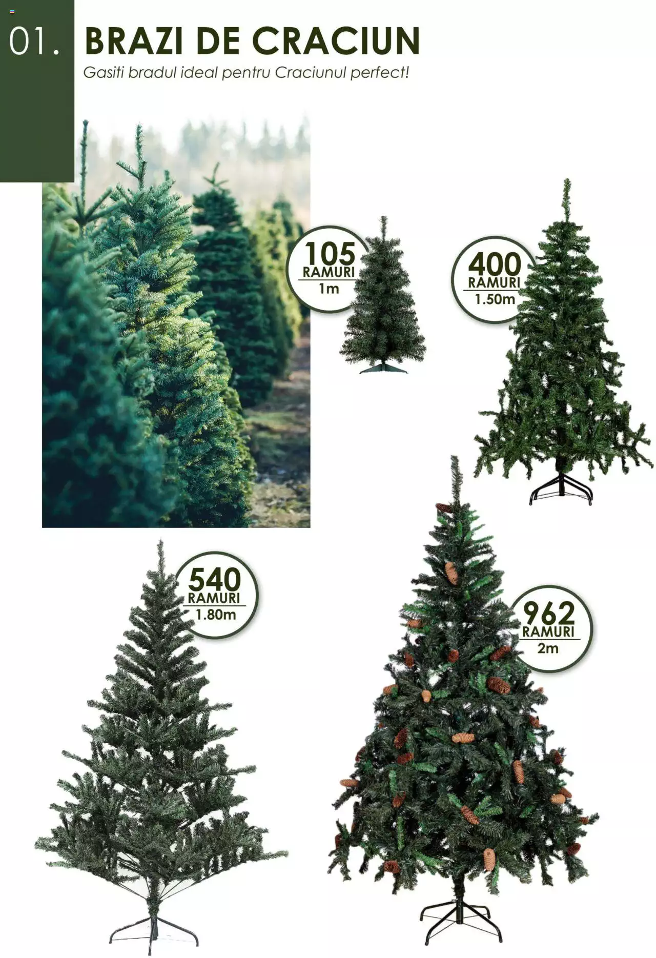 Catalog Jumbo 24 Noiembrie 2023 - 7 Ianuarie 2024 | Pagina 2