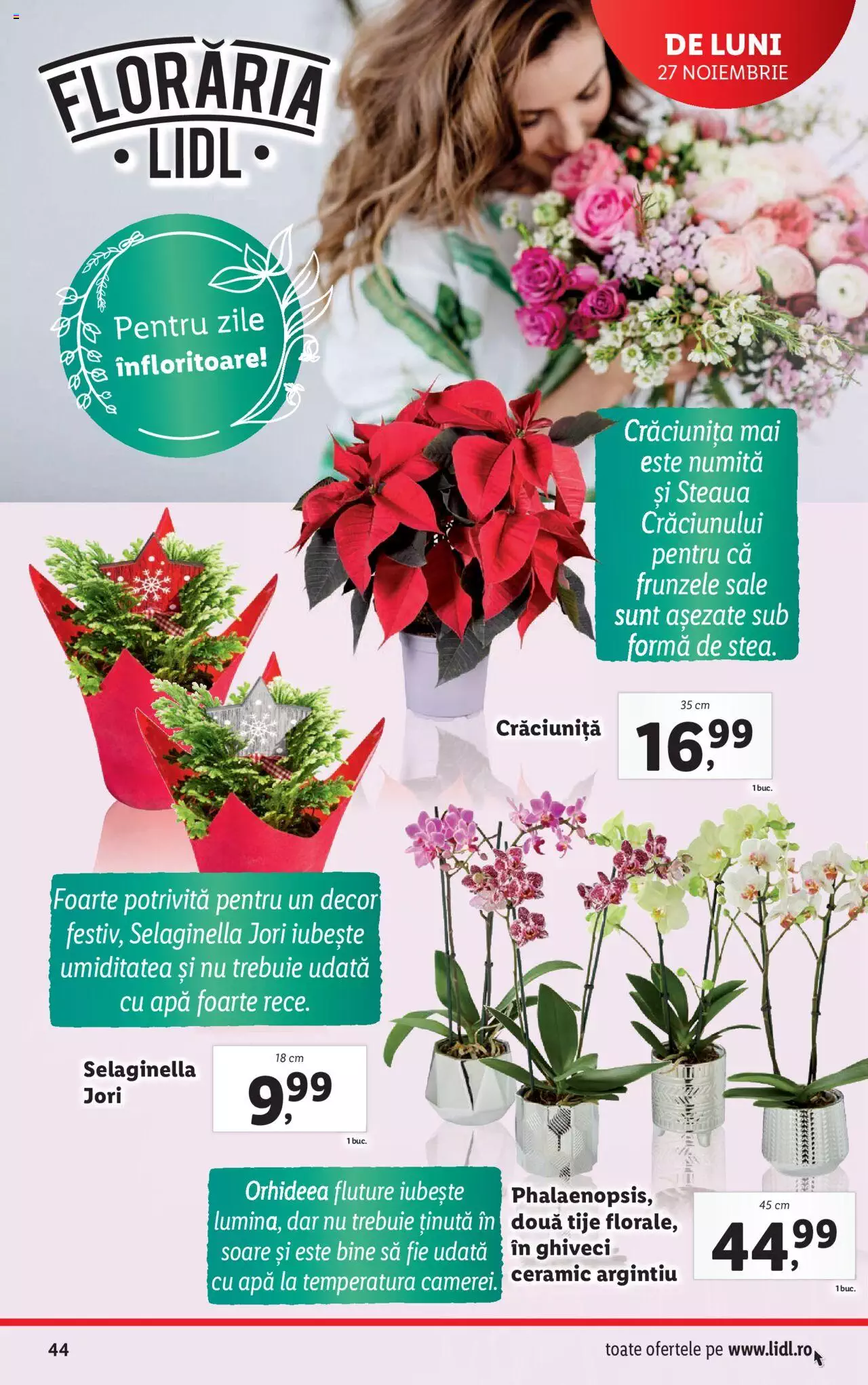 Catalog LIDL 27 Noiembrie - 3 Decembrie 2023 | Pagina 44
