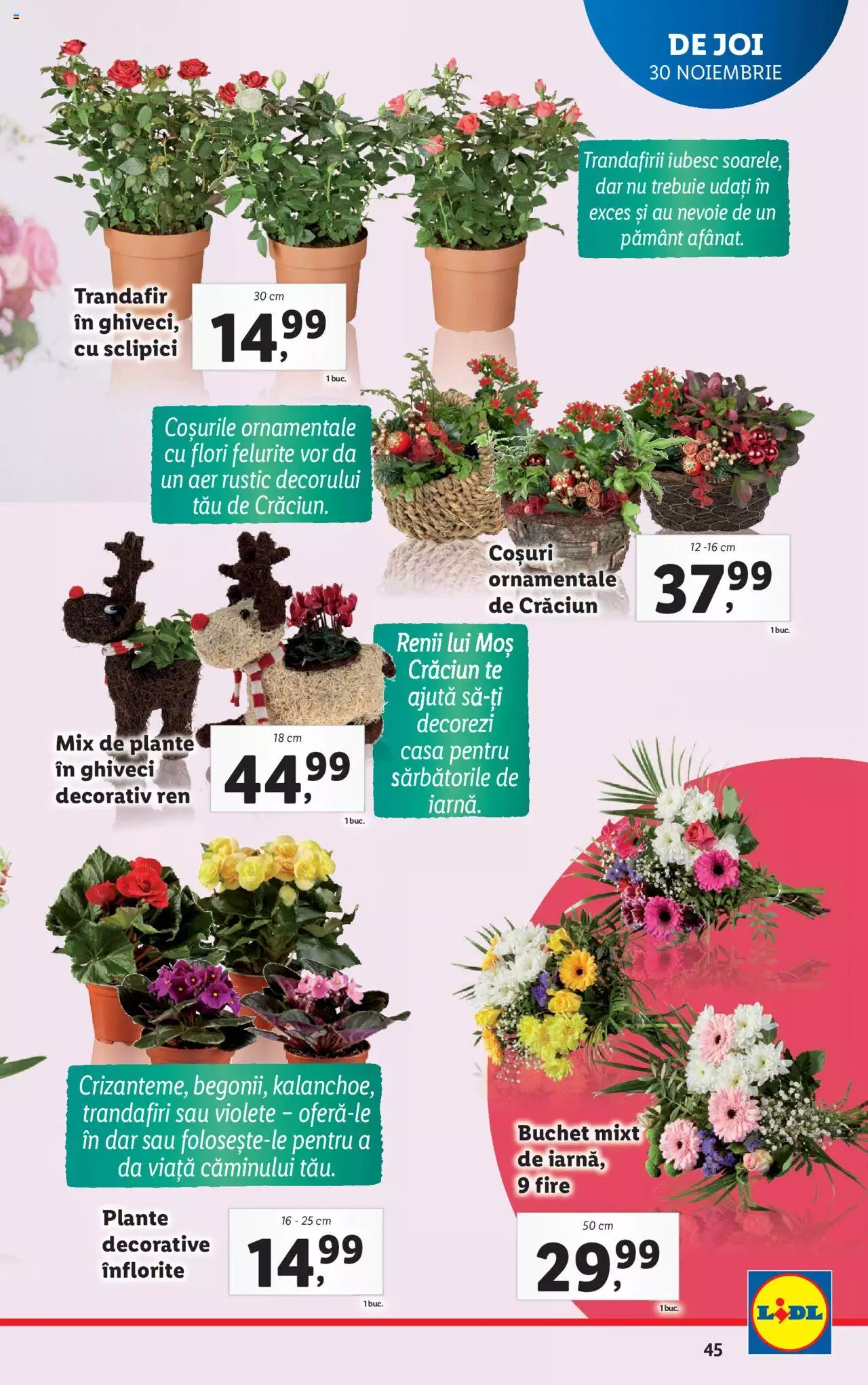 Catalog LIDL 27 Noiembrie - 3 Decembrie 2023 | Pagina 45