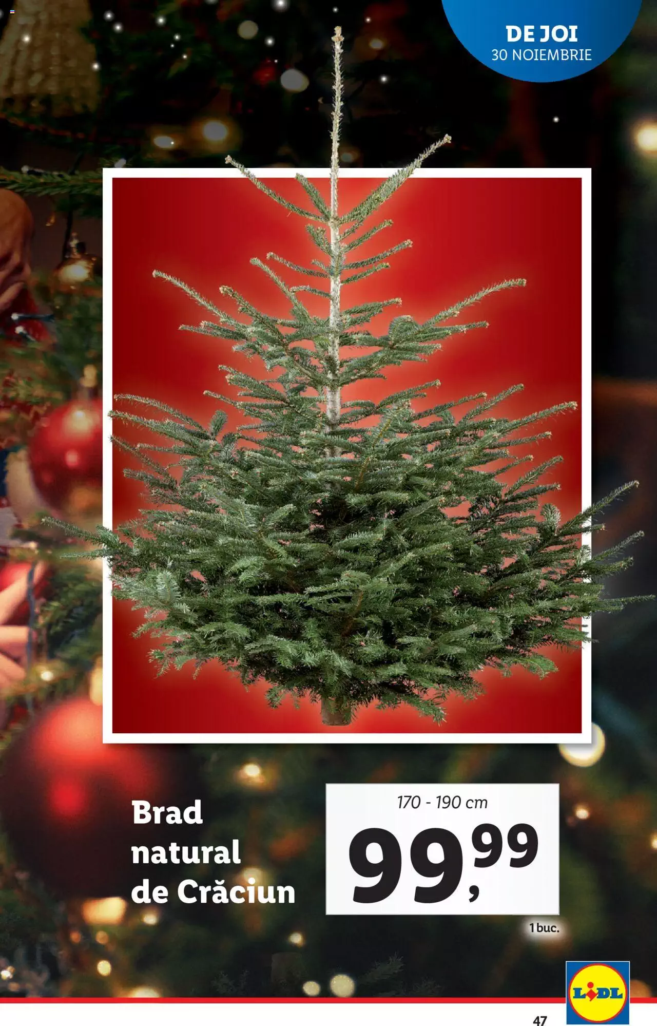 Catalog LIDL 27 Noiembrie - 3 Decembrie 2023 | Pagina 47