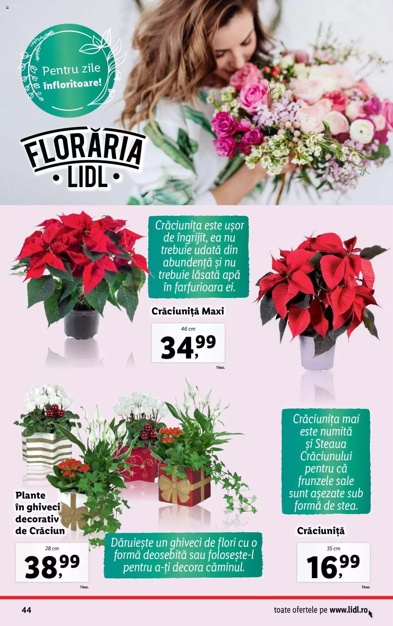 Catalog LIDL 4 - 10 Decembrie 2023 | Pagina 44