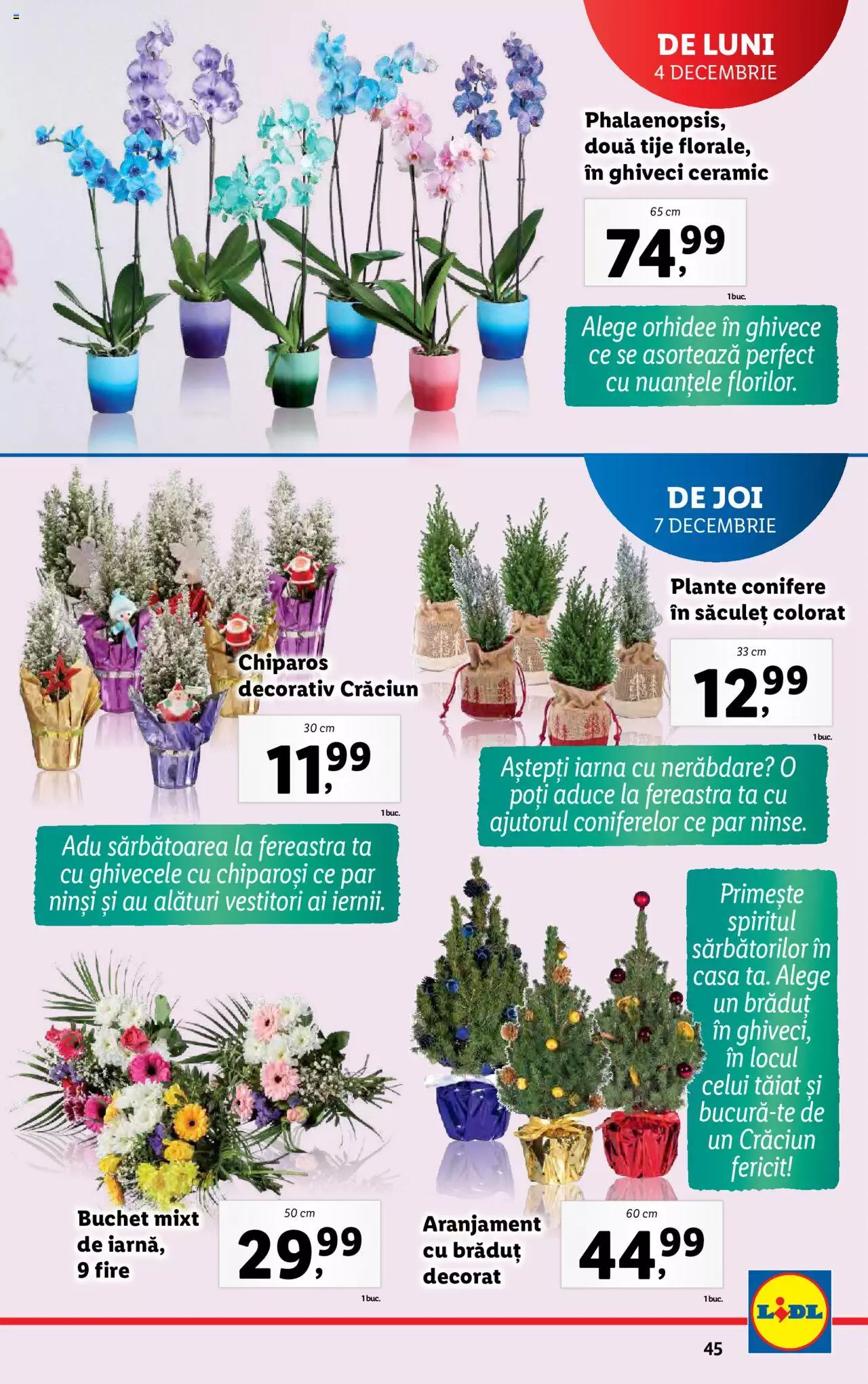 Catalog LIDL 4 - 10 Decembrie 2023 | Pagina 45