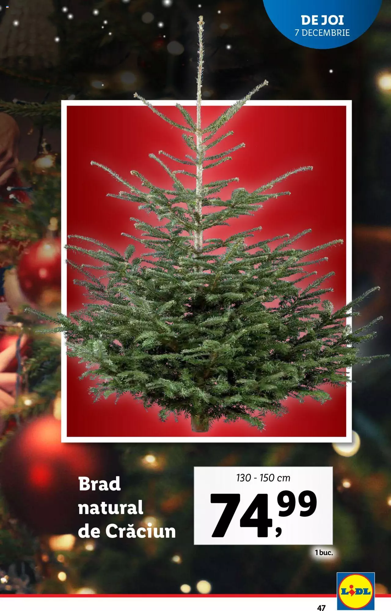 Catalog LIDL 4 - 10 Decembrie 2023 | Pagina 47