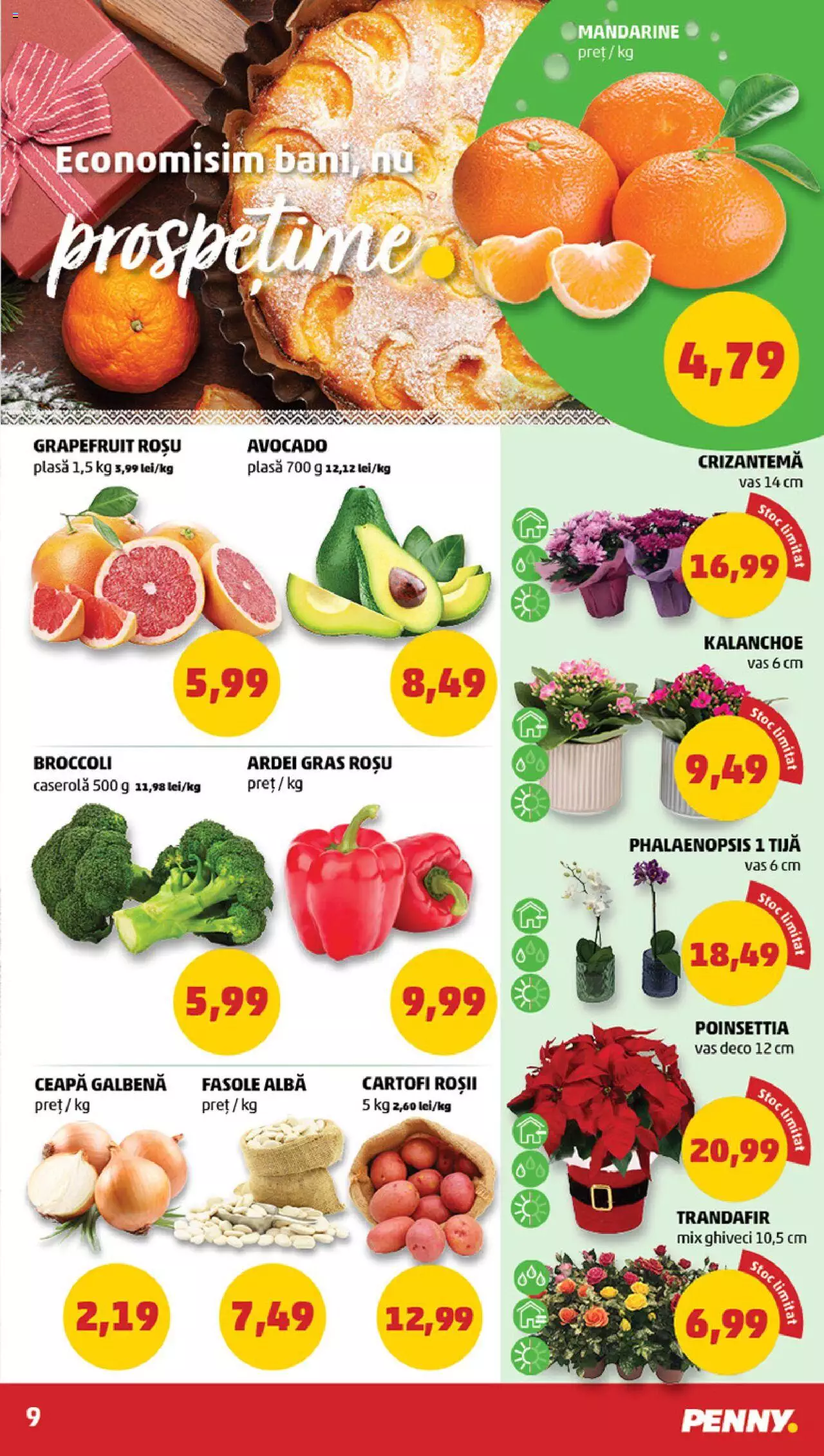 Catalog PENNY Market 29 Noiembrie - 5 Decembrie 2023 | Pagina 9