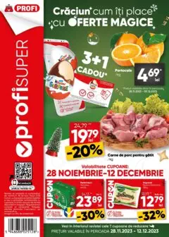 Catalog Profi