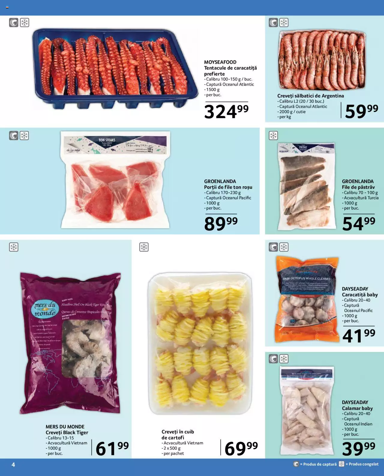 Catalog Selgros 1 - 31 Decembrie 2023 | Pagina 4