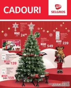 Catalog Selgros