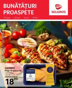 Catalog Selgros