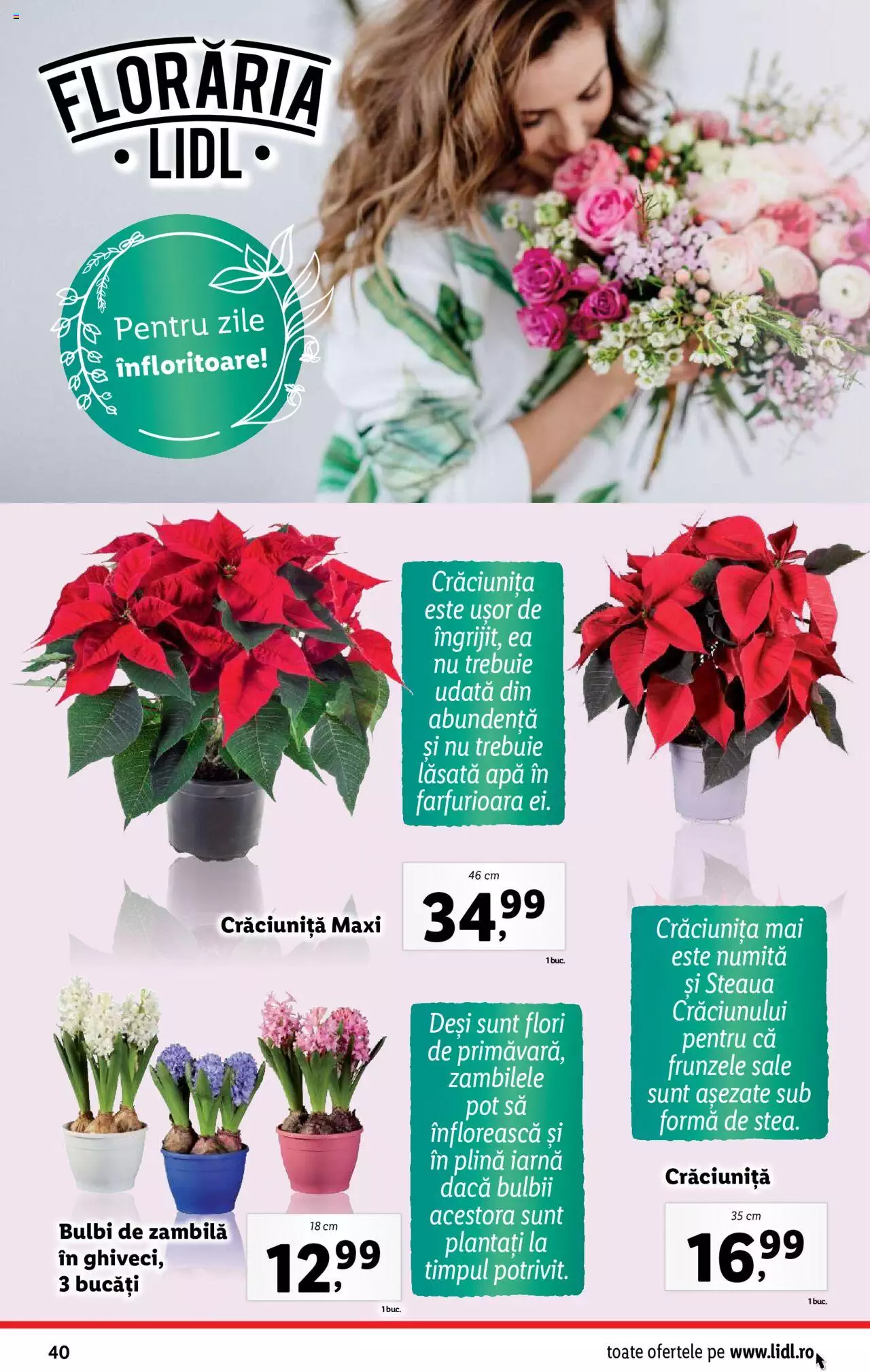Catalog LIDL 18 - 24 Decembrie 2023 | Pagina 40