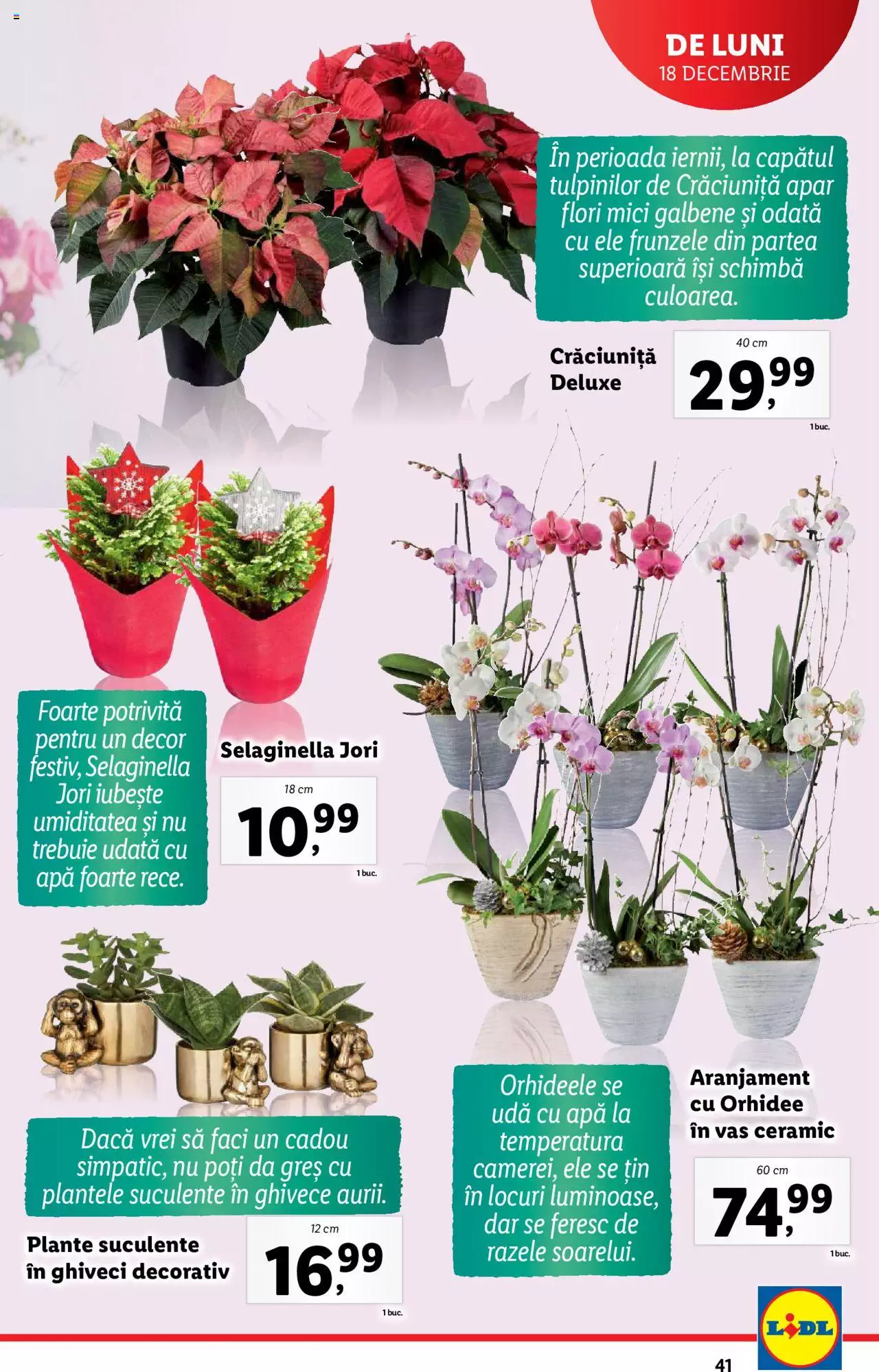 Catalog LIDL 18 - 24 Decembrie 2023 | Pagina 41