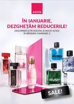 Catalog Avon