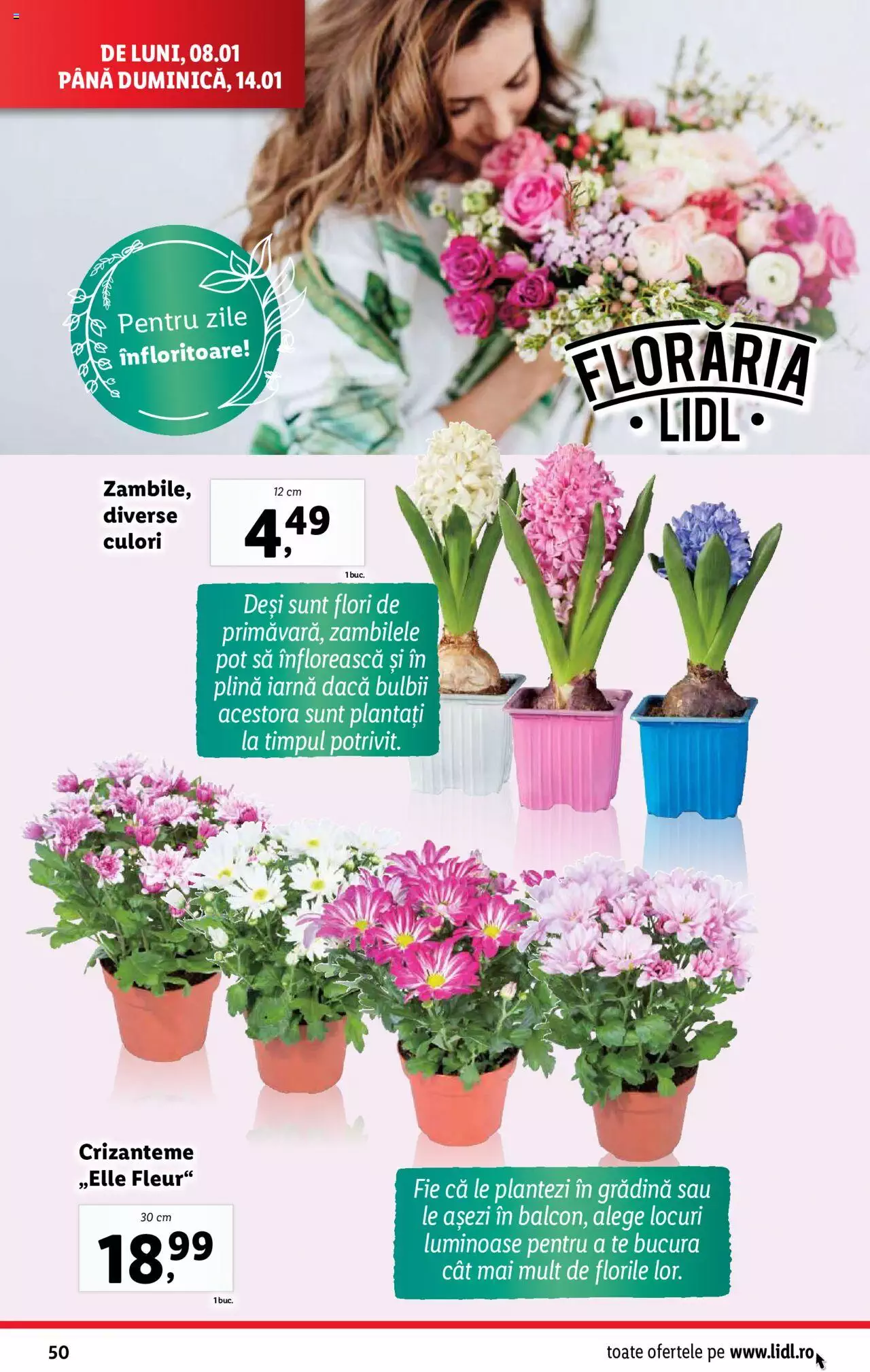 Catalog LIDL 8 - 14 Ianuarie 2024 | Pagina 48