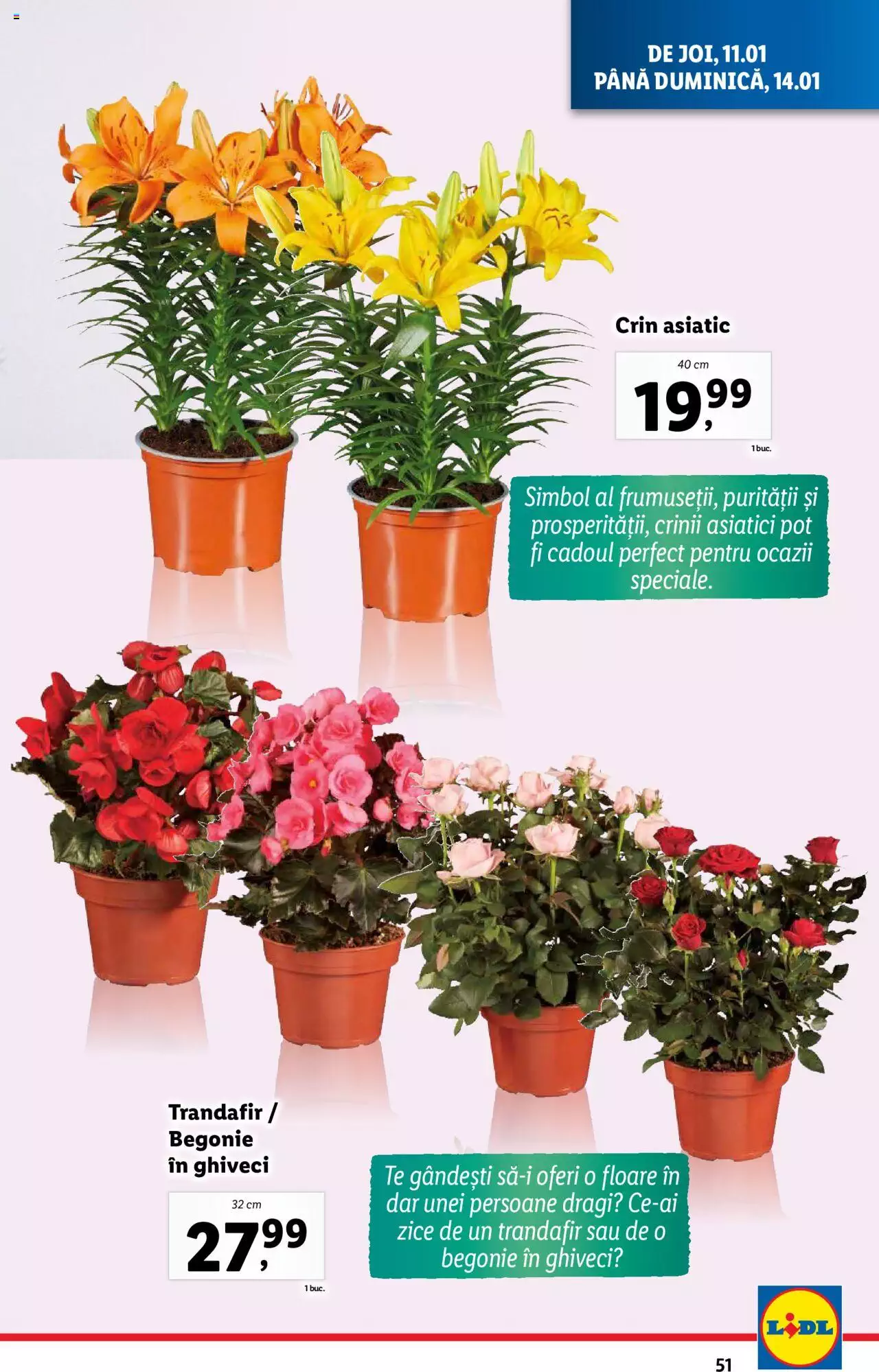 Catalog LIDL 8 - 14 Ianuarie 2024 | Pagina 49