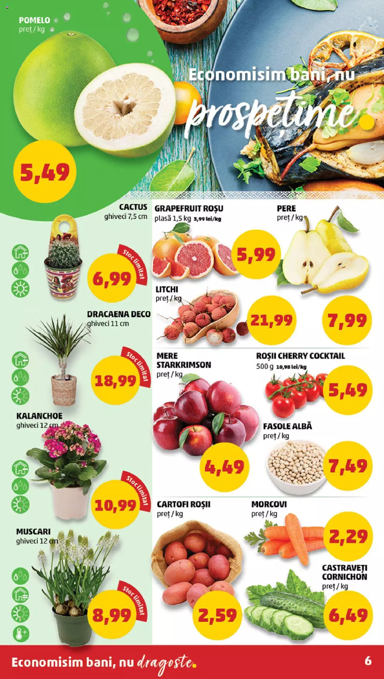 Catalog PENNY Market 10 - 16 Ianuarie 2024 | Pagina 6