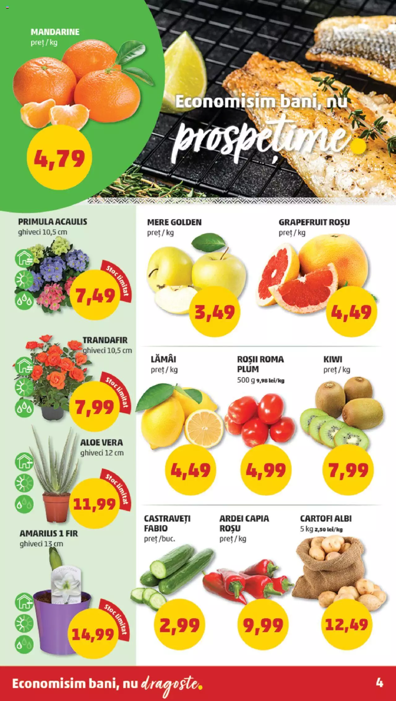 Catalog PENNY Market 17 - 23 Ianuarie 2024 | Pagina 4