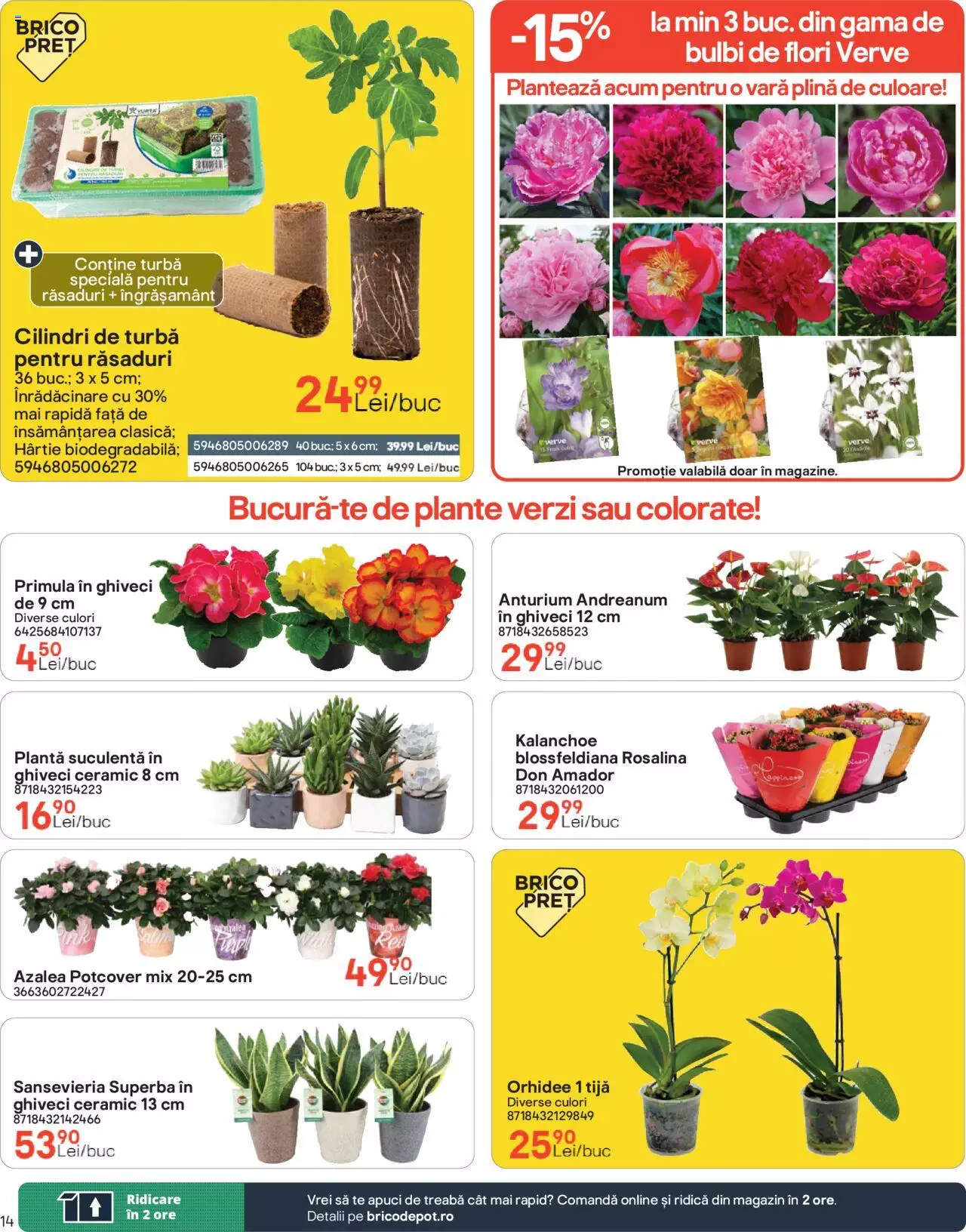 Catalog Brico Depot 2 Februarie - 5 Martie 2024 | Pagina 14