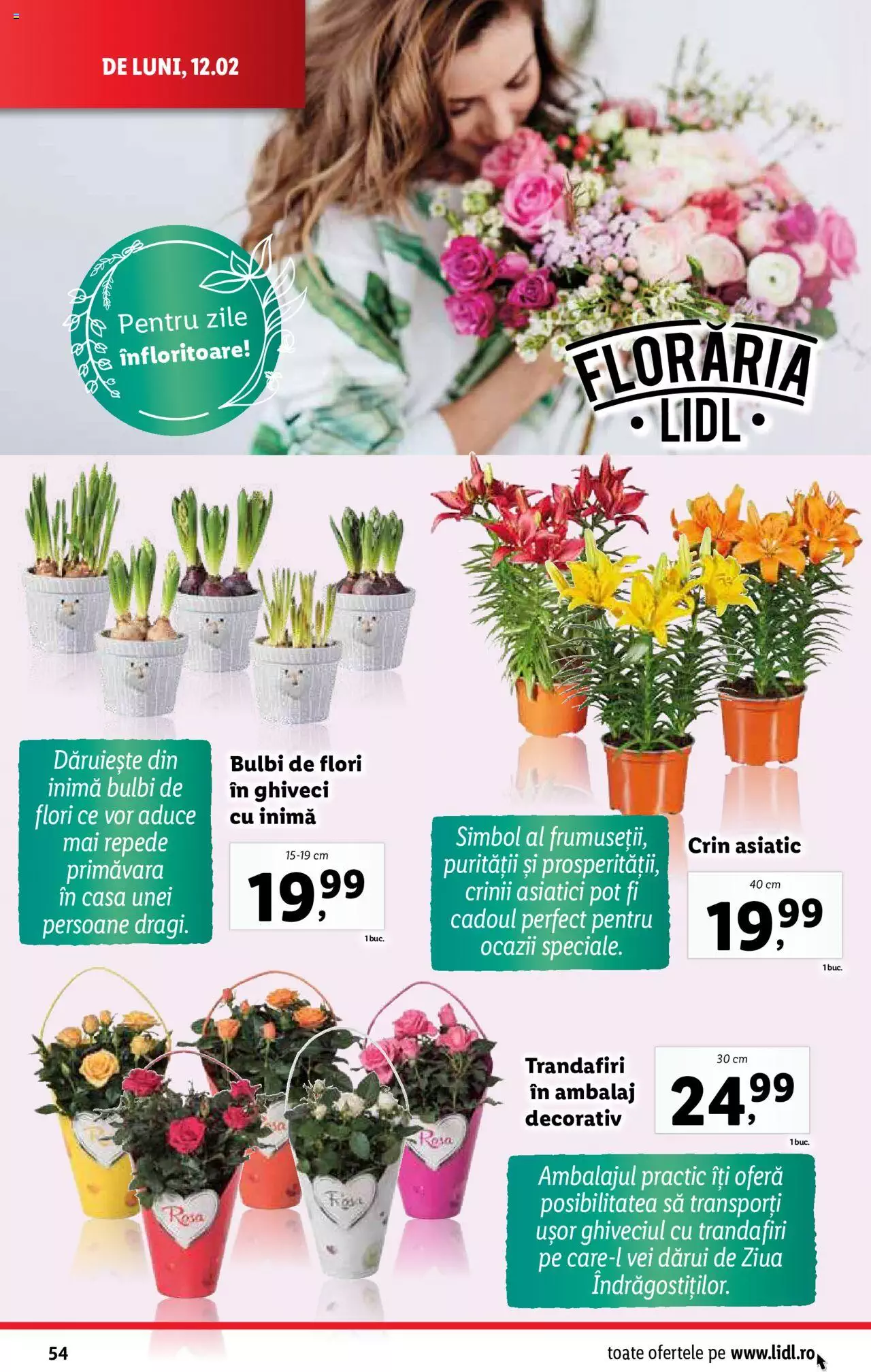 Catalog LIDL 12 - 18 Februarie 2024 | Pagina 54