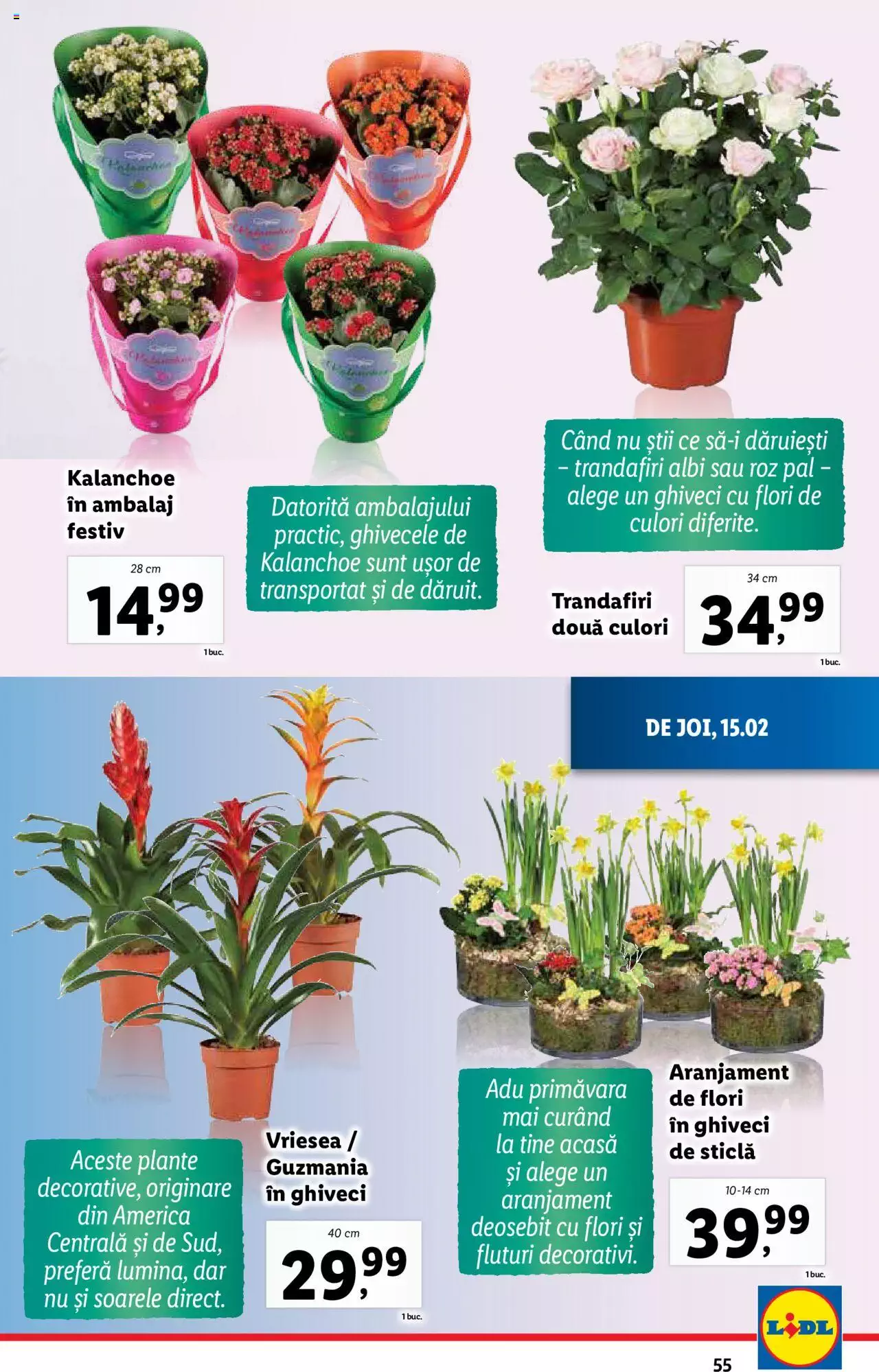 Catalog LIDL 12 - 18 Februarie 2024 | Pagina 55