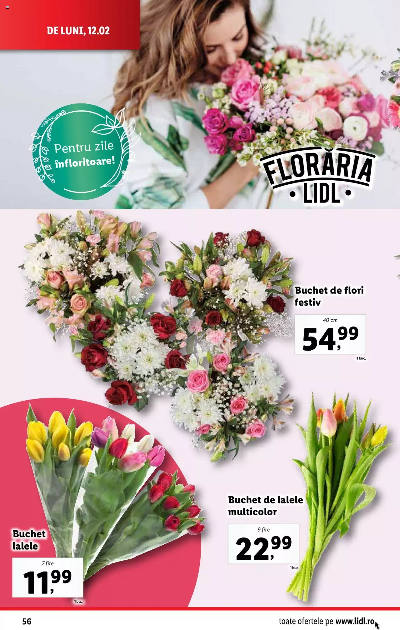 Catalog LIDL 12 - 18 Februarie 2024 | Pagina 56