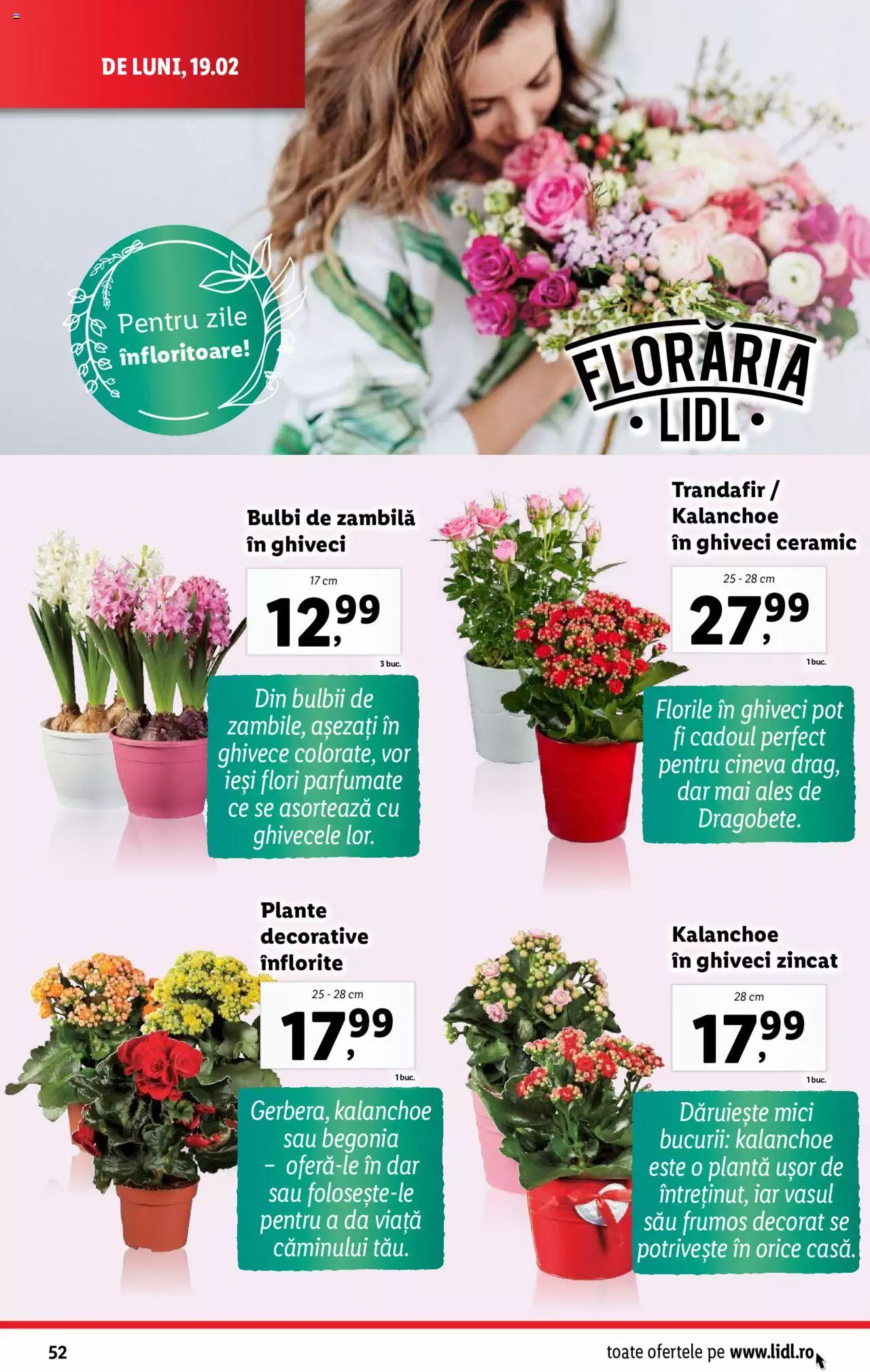Catalog LIDL 19 - 25 Februarie 2024 | Pagina 52