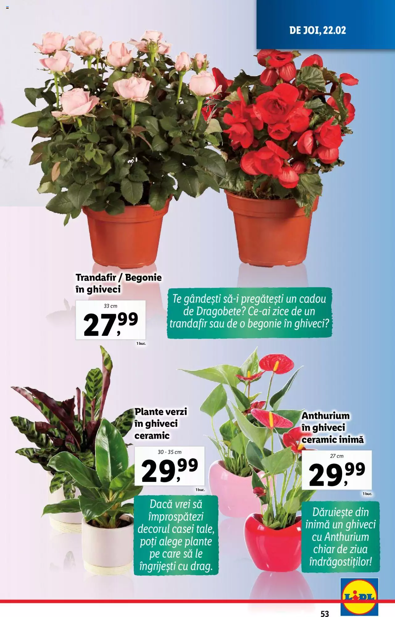 Catalog LIDL 19 - 25 Februarie 2024 | Pagina 53