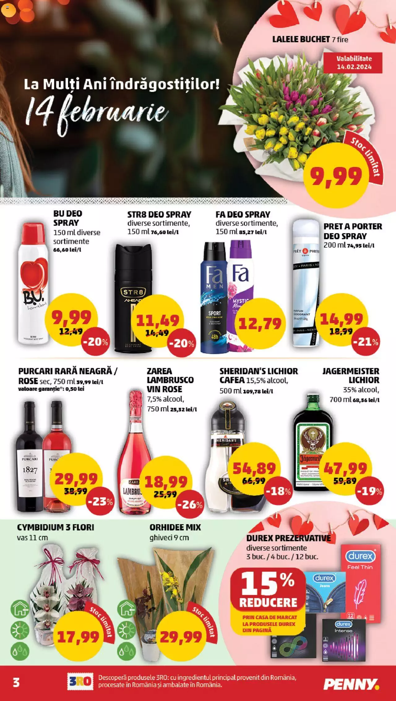 Catalog PENNY Market 14 - 20 Februarie 2024 | Pagina 3