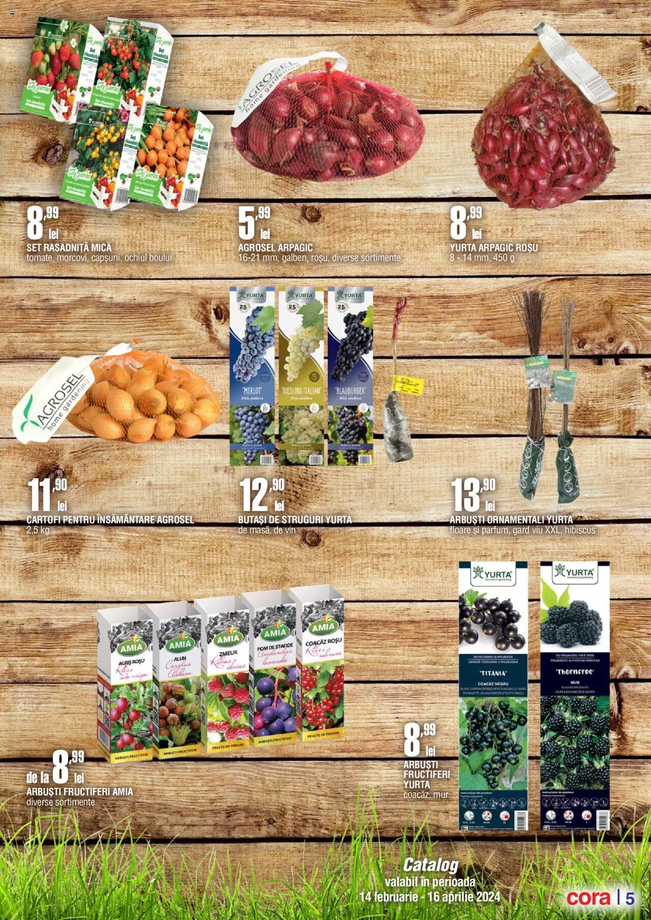 Catalog Cora 14 Februarie - 16 Aprilie 2024 | Pagina 4