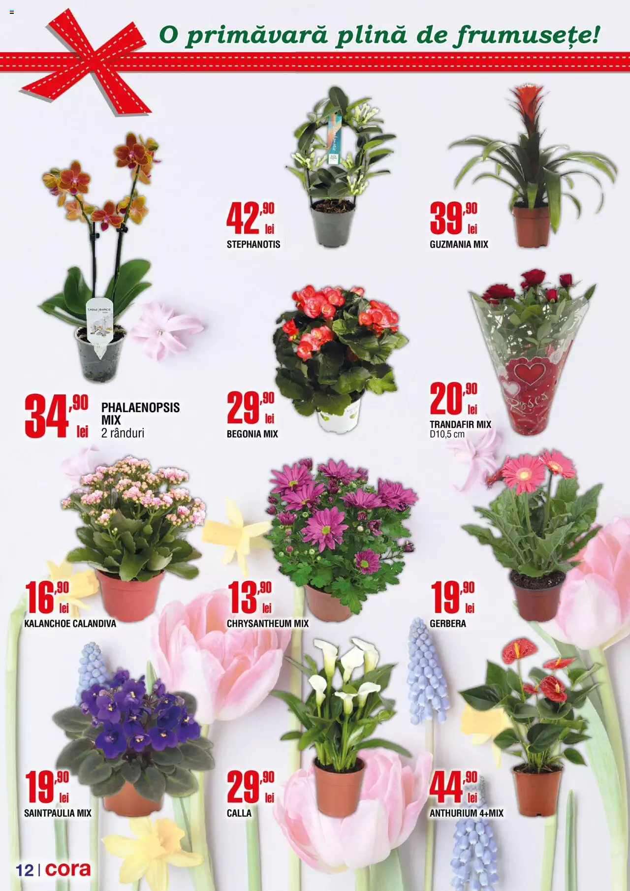 Catalog Cora 21 Februarie - 12 Martie 2024 | Pagina 12