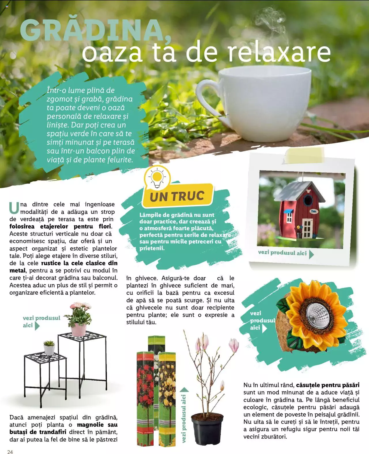 Catalog LIDL 26 Februarie - 7 Aprilie 2024 | Pagina 24