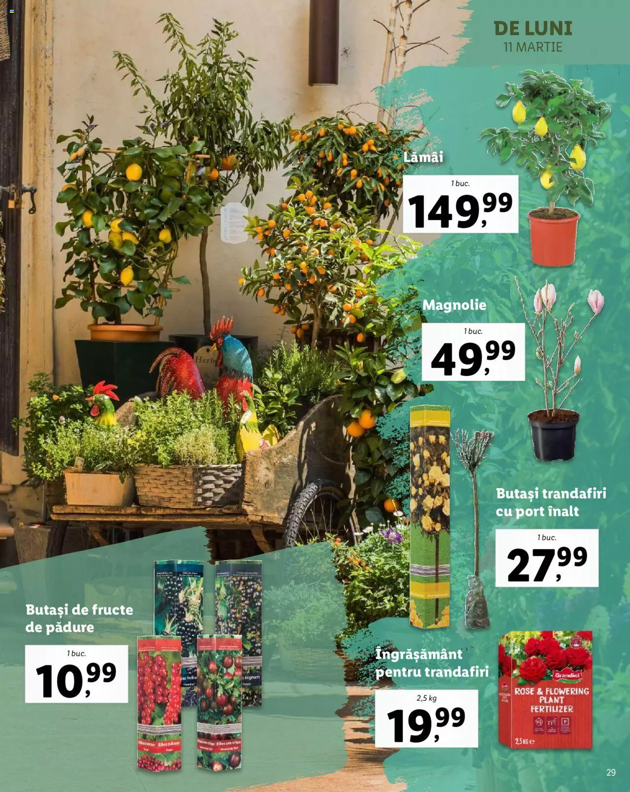 Catalog LIDL 26 Februarie - 7 Aprilie 2024 | Pagina 29